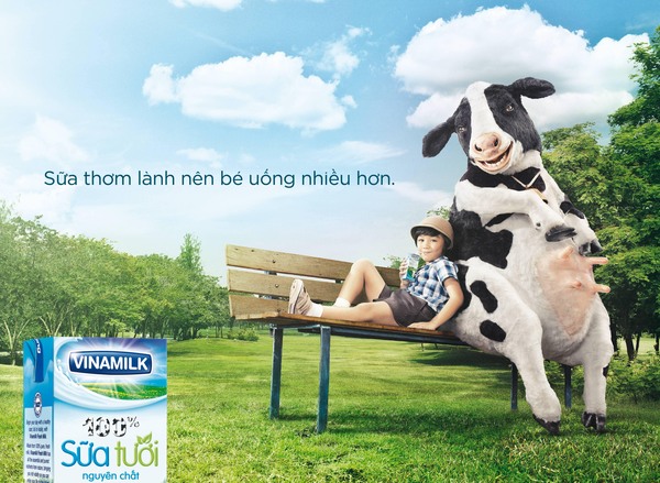 Xin giấy phép quảng cáo sữa